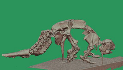 2, Giant armadillo: Glyptodon
