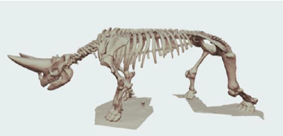 4, A species in the extinct Embrithopoda similar to a rhinoceros: Arsinoitherium