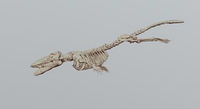 7, Ancestors of whales: Pakicetus and Ambulocetus